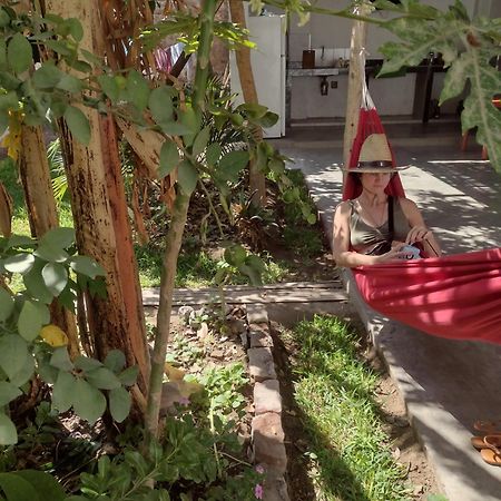 Flying Monkey Hostel 纳斯卡 外观 照片