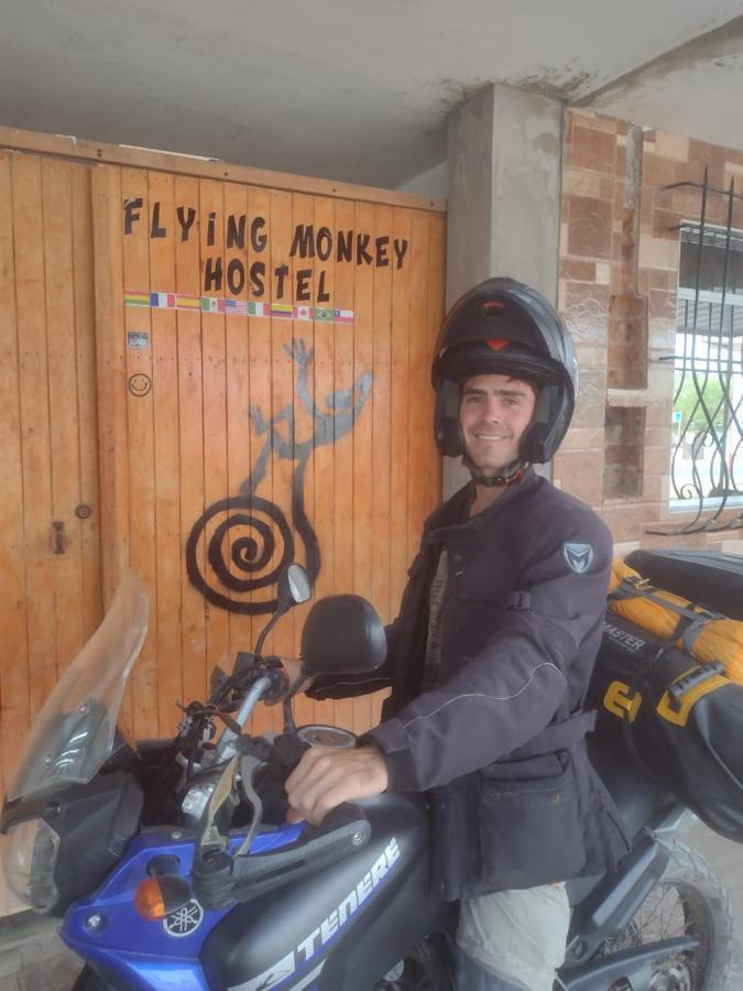Flying Monkey Hostel 纳斯卡 外观 照片