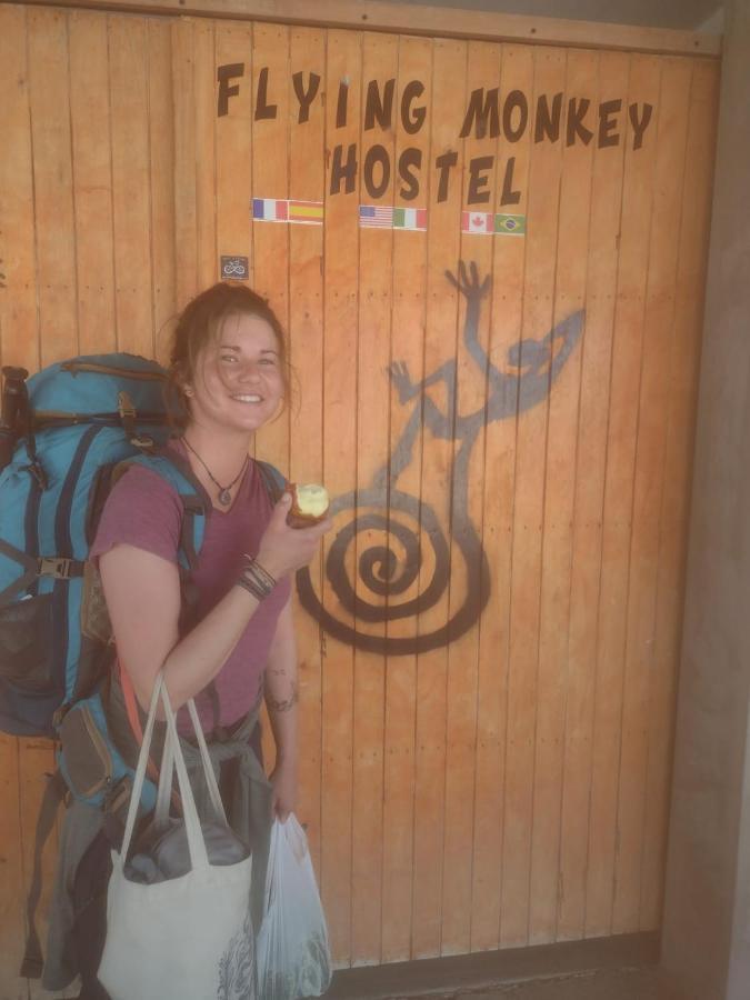 Flying Monkey Hostel 纳斯卡 外观 照片