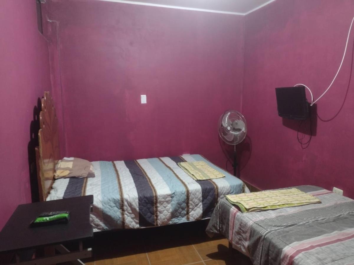 Flying Monkey Hostel 纳斯卡 外观 照片