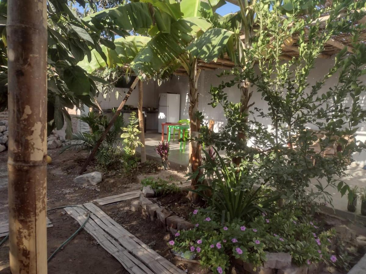 Flying Monkey Hostel 纳斯卡 外观 照片