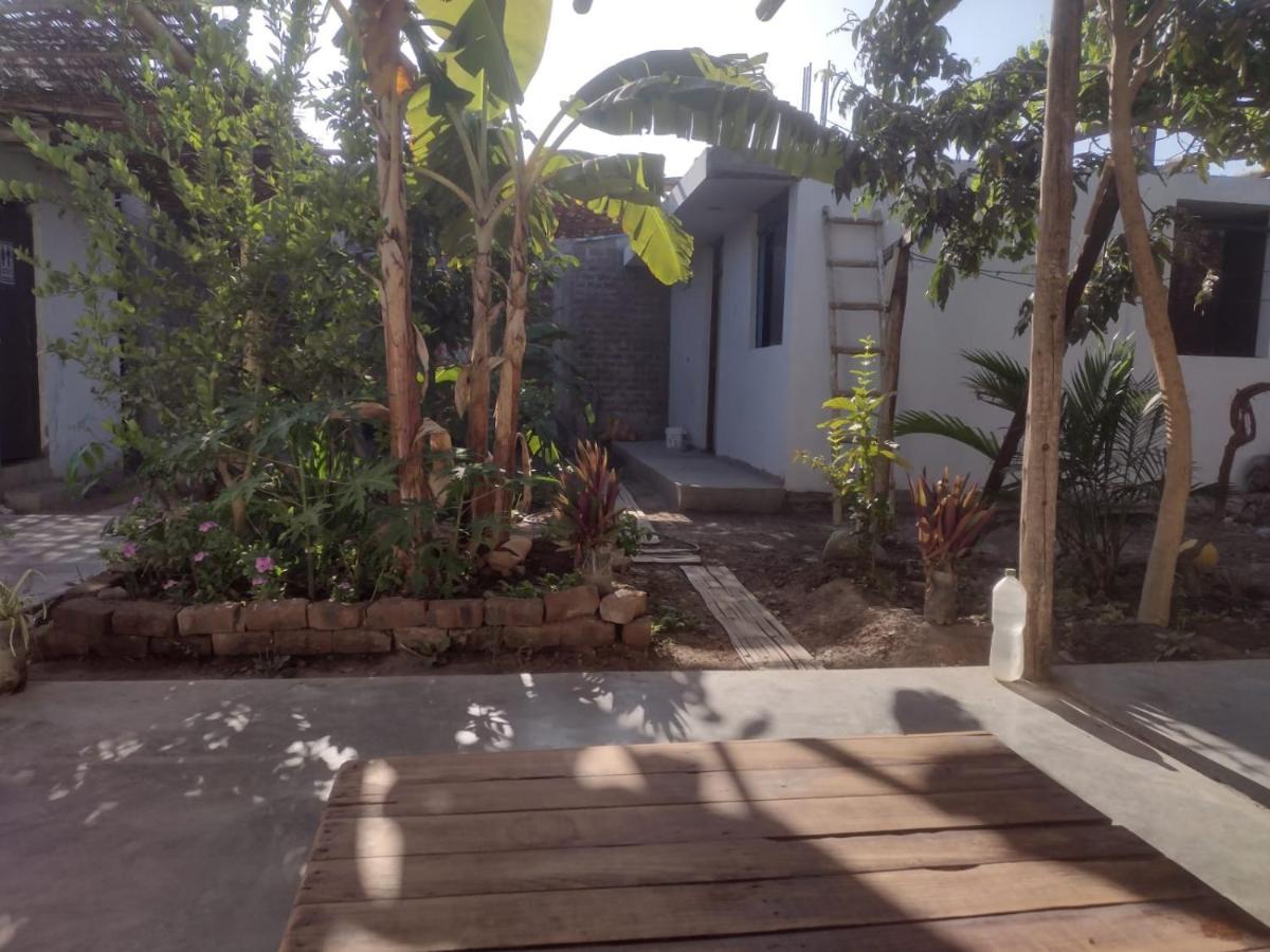 Flying Monkey Hostel 纳斯卡 外观 照片
