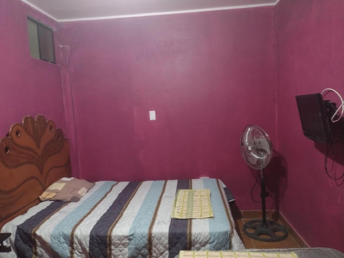 Flying Monkey Hostel 纳斯卡 外观 照片